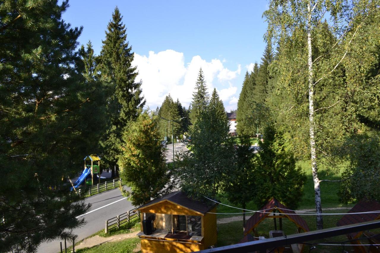 Casa Vinga - Restaurant&jacuzzi Guest house Poiana Brasov