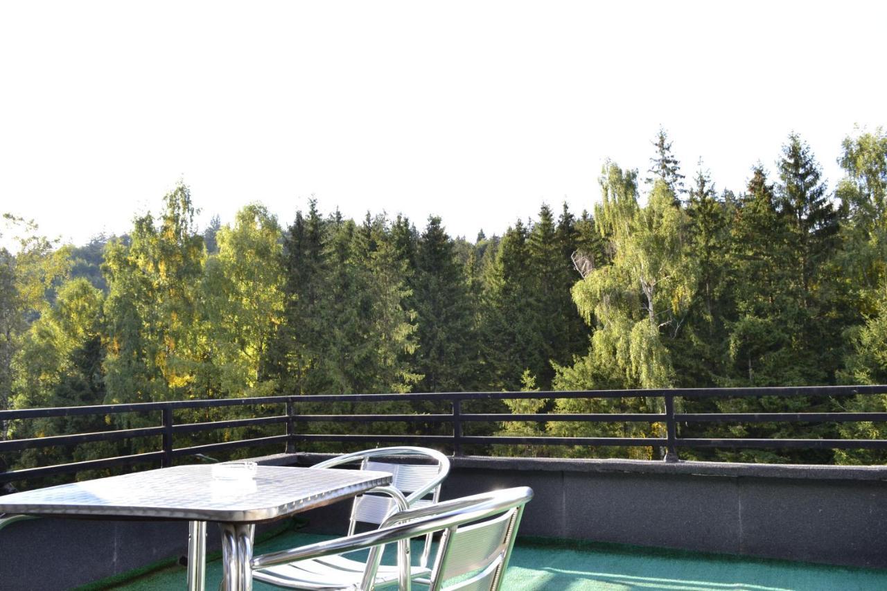 Guest house Casa Vinga - Restaurant&jacuzzi 3*